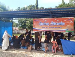 Momentum Hari Raya Idul Adha 1446 Hijriah, BRI Watampone Sembelih 10 Ekor Sapi Qurban
