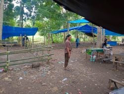 Polsek Tellu Siattinge Gerebek Lokasi Judi Sabung Ayam Di Desa Tajong