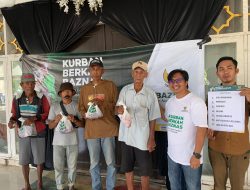 BAZNAS Bone Sembelih 10 Ekor Sapi dan 3 Ekor Kambing dari Mudhohi dalam Program Kurban Berkah 1446 H/2025 M