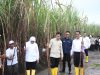 Mentan Tegaskan Komitmen Pemerintah untuk Petani Tebu di Hadapan Wapres