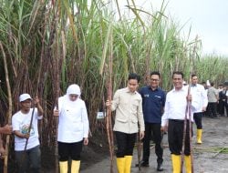 Mentan Tegaskan Komitmen Pemerintah untuk Petani Tebu di Hadapan Wapres