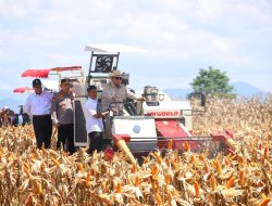 Didampingi Mentan Amran, Presiden Prabowo Pimpin Panen Raya Jagung di Kalbar