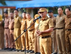 Bone Terima 70 Ekor Bibit Sapi dari Kementerian Pertanian, Bupati Minta Jaga