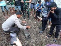 Penemuan Bayi Terkubur Gegerkan Warga Bone, Polisi Ungkap Pelaku Hanya Dalam Jam